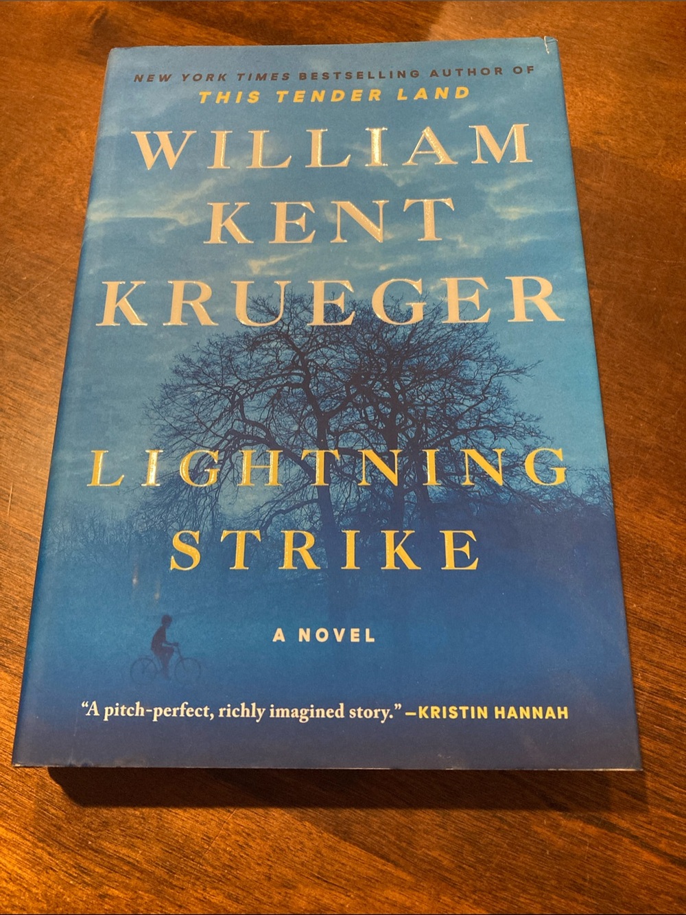 "Lightning Strike" Hardcover Novel - Blue